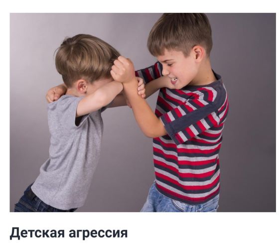 [psymama] Татьяна Крысанова ― Детская агрессия (20_0.jpg